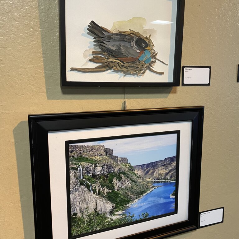 Photo of two pieces of framed artwork. One is a landscape photo, and the other is a layered craft of a bird.