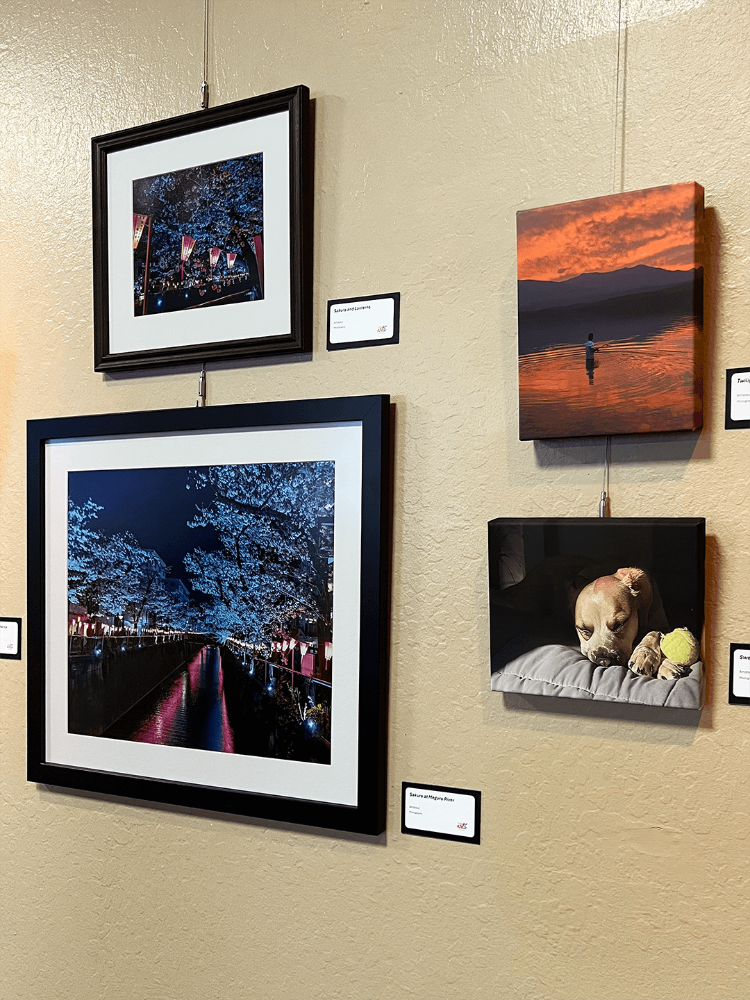 Framed art hanging in gallery
