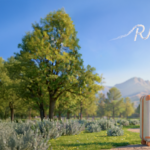 Ai generated image of suitcase in a Nevada inspired landscape with airplane and clouds that read RNO.